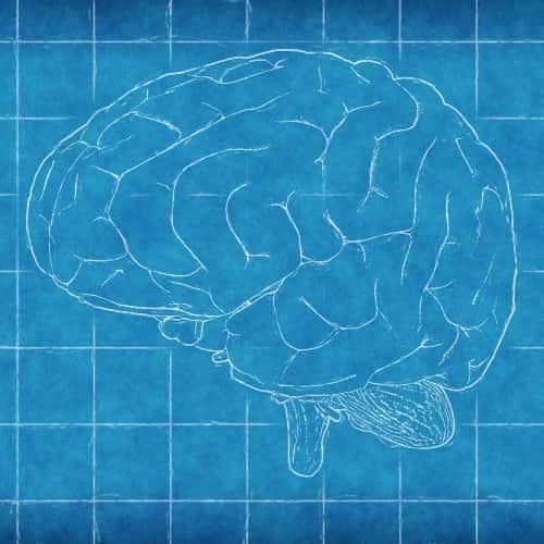 Neurologia